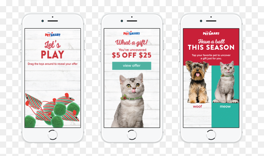 Petsmart Example - Domestic Short-haired Cat, HD Png Download - petsmart logo png