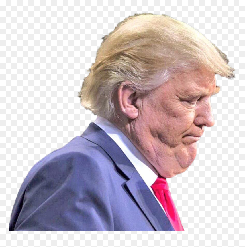Personunflattering Picture Of Donald Trump - Trump's Ugly, HD Png Download - donald trump.png