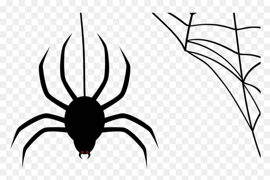 How Birds Fly - Halloween Spider Web Corner, HD Png Download - spider web transparent png
