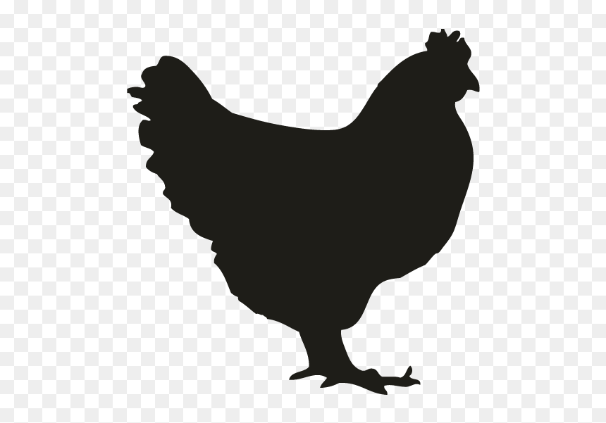 Chicken Silhouette Png - Transparent Chicken Silhouette, Png Download - chickens png