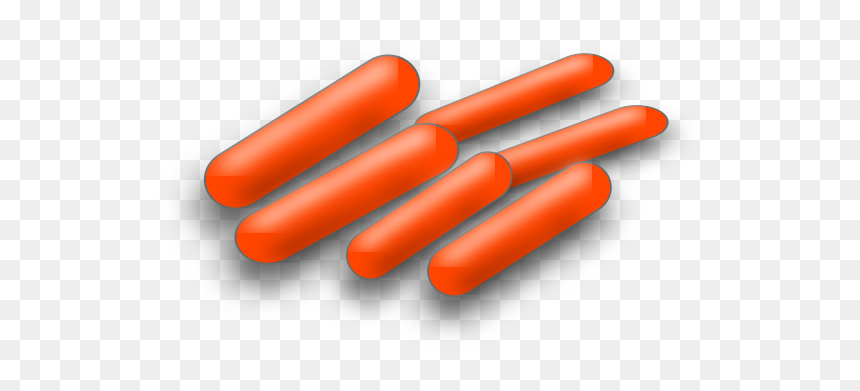 Illustration, HD Png Download - cell icon png