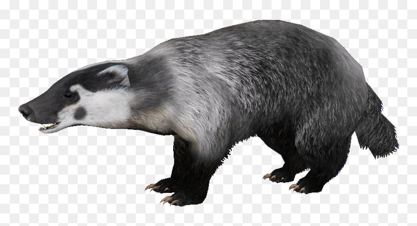 Download Free Png Badger Png, Download Png Image With - Badger Png, Transparent Png - badger png