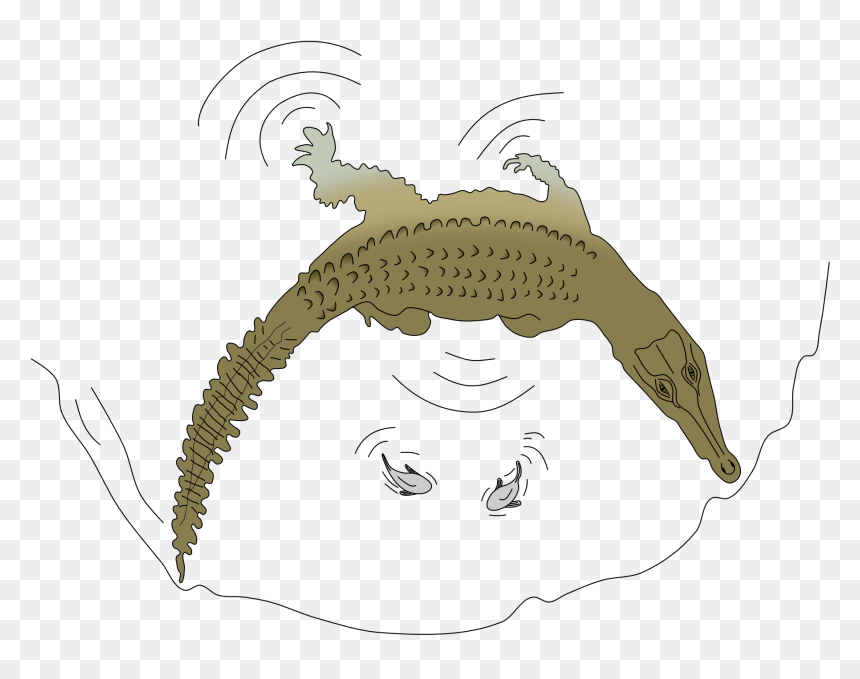 Crocodylus Intermedius Hunting Technique - Illustration, HD Png Download - hunting png
