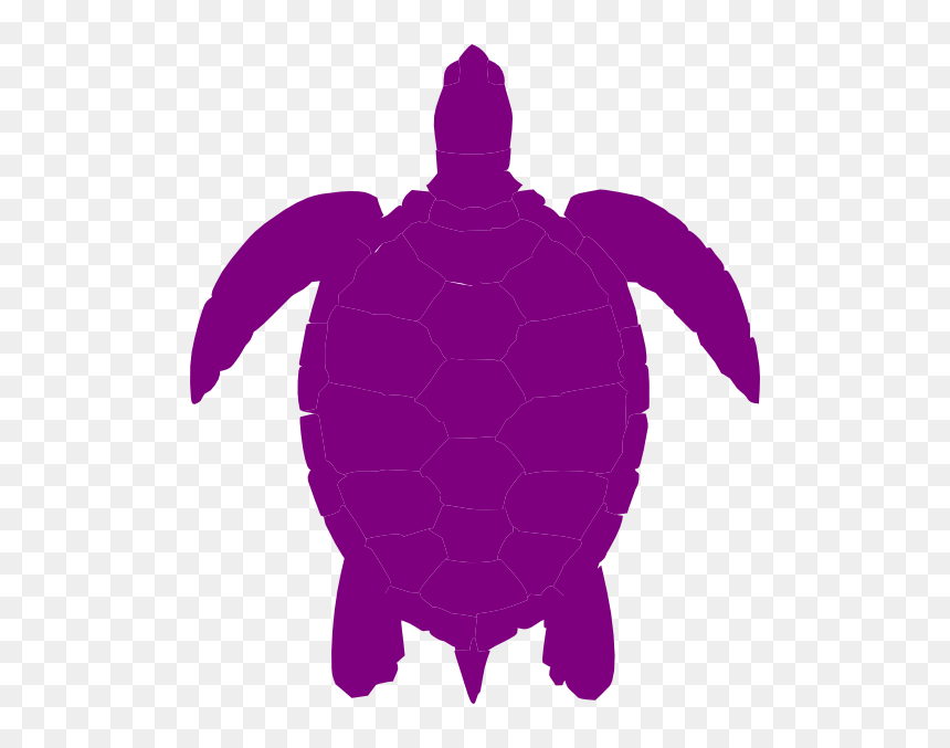 Sea Turtle Silhouette Clip Art - Sea Turtle Silhouette Drawing, HD Png Download - turtle silhouette png