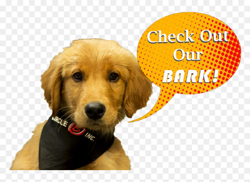 Mulch , Png Download - Companion Dog, Transparent Png - mulch png