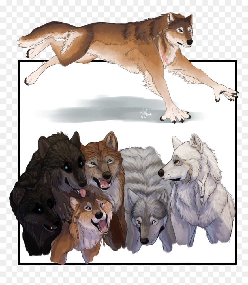 Teen Wolf Season 6 Concept - Wolfdog, HD Png Download - teen wolf png
