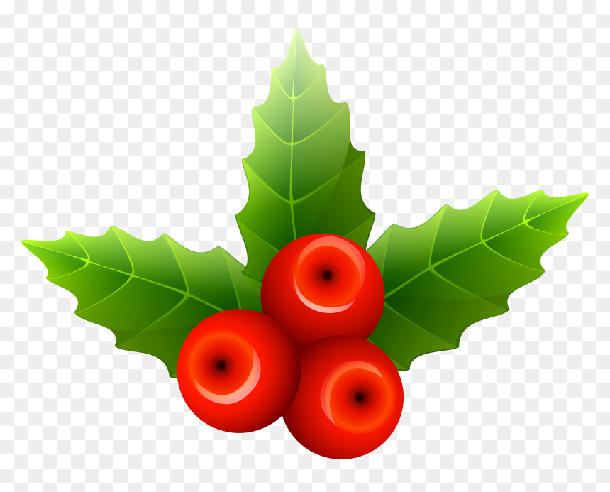 Mistletoe Png, Transparent Png - mistle toe png