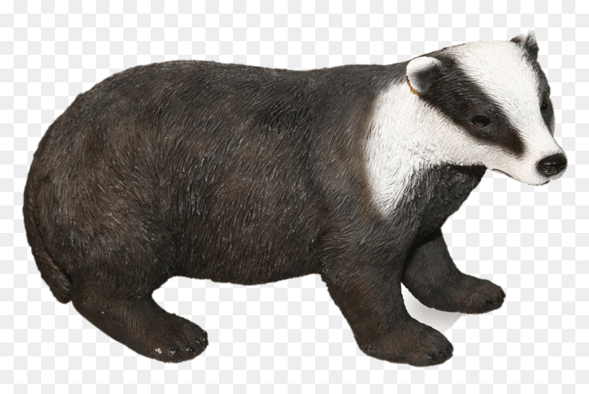 Badger Figurine Clip Arts - Badger, HD Png Download - badger png