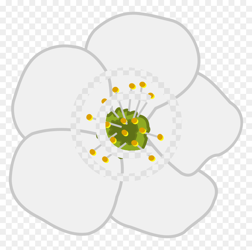 Clip Art, HD Png Download - flower .png