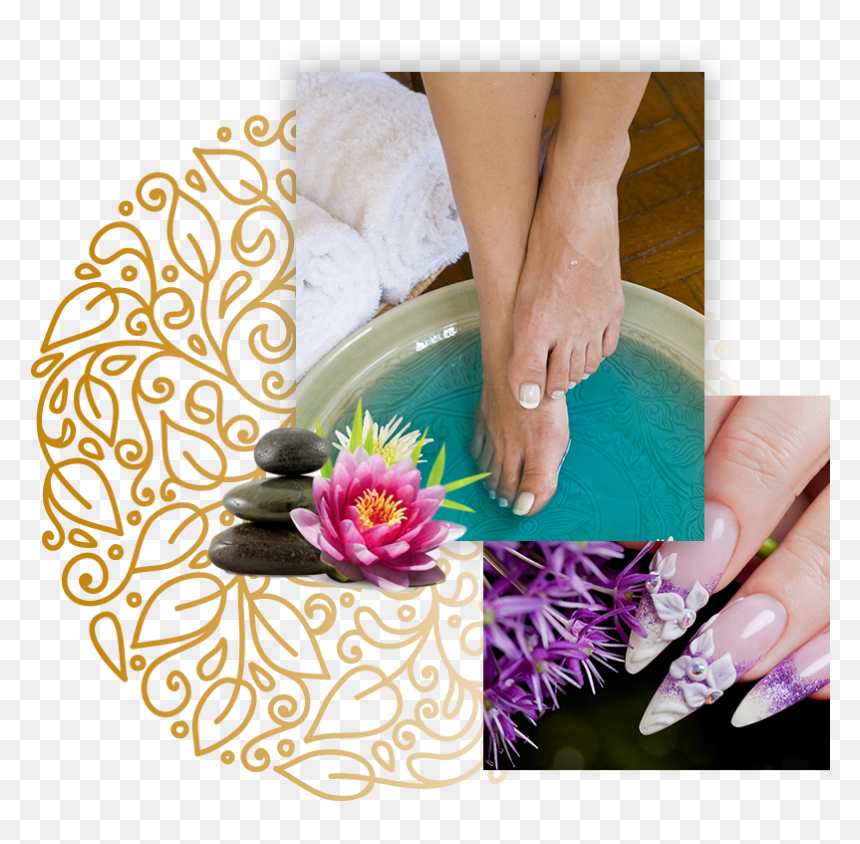 Pro Nails & Skin - Manicure, HD Png Download - manicure png