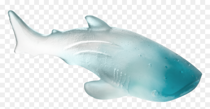 Great White Shark, HD Png Download - whale shark png