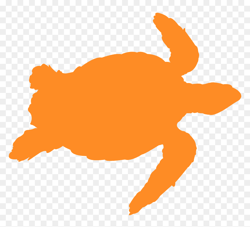 Yellow Outline Of A Turtle, HD Png Download - turtle silhouette png