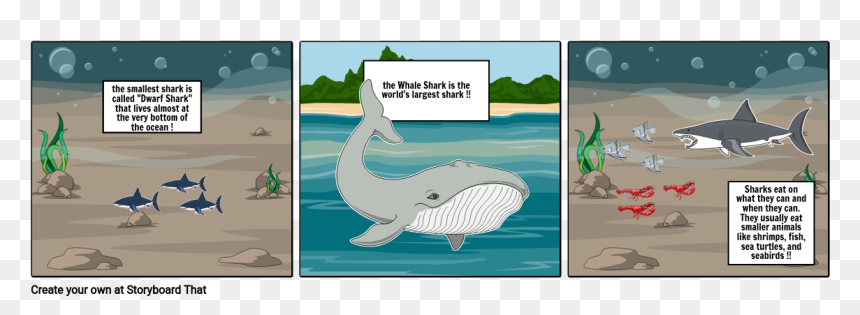 Storyboard, HD Png Download - whale shark png