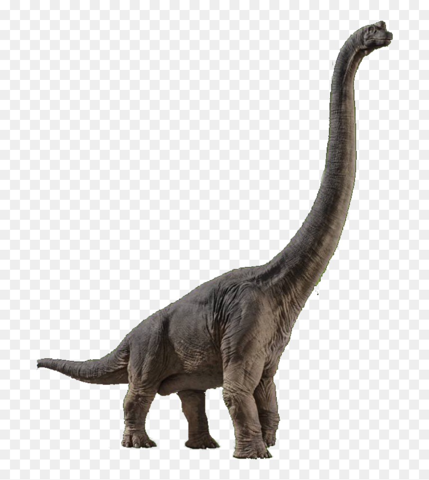 Jurassic World Png Clipart , Png Download - Brachiosaurus Jurassic World Dinosaurs, Transparent Png - jurassic world png