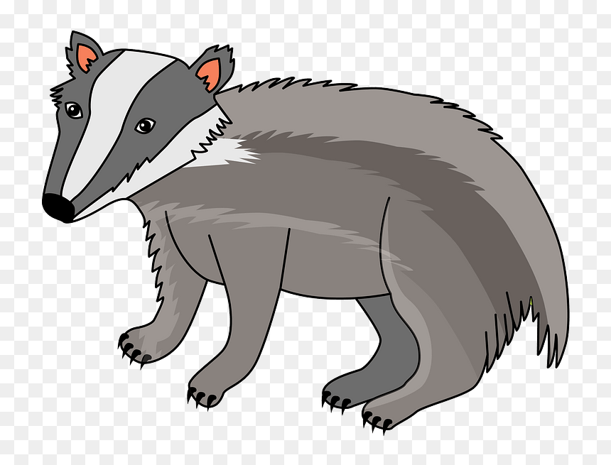 Badger Clipart, HD Png Download - badger png
