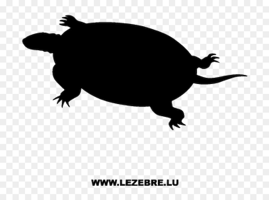 T Shirts Cao Azul, HD Png Download - turtle silhouette png