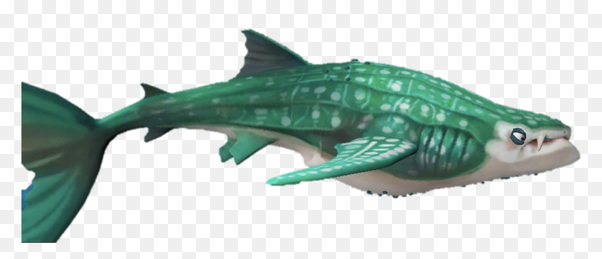 Level 0 Picture1 Copy - Drawing Hungry Shark World, HD Png Download - whale shark png