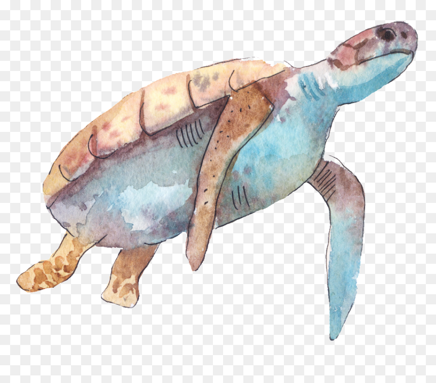 Cartoon Turtle Png Transparent - Turtle Watercolor Art, Png Download - turtle silhouette png