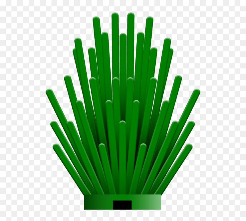 "spiky Bush", For A Texture - Grass, HD Png Download - grass png texture