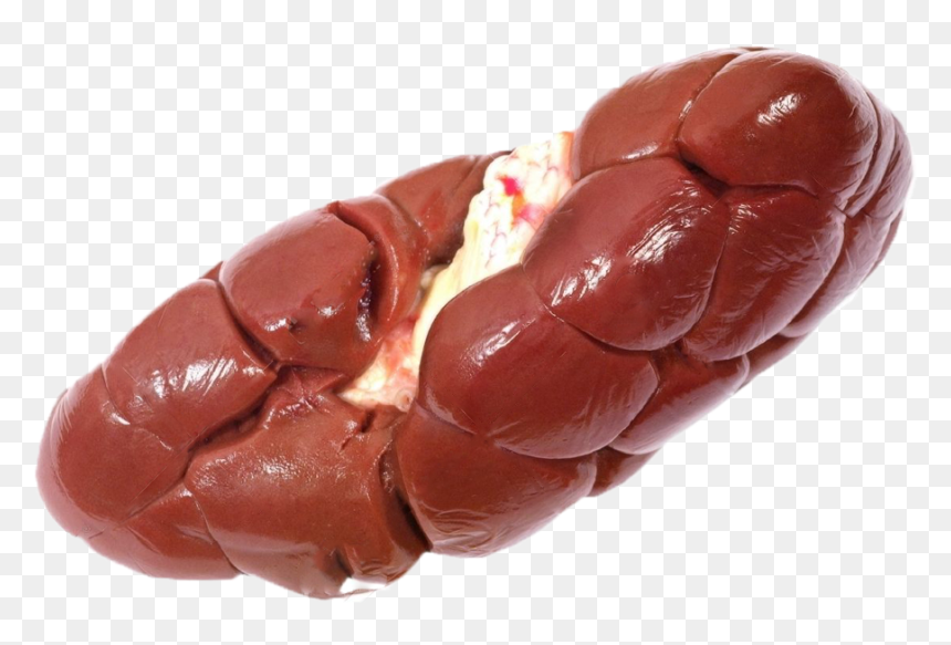 Cow Kidney Png , Png Download - Riñon Carne, Transparent Png - kidney png