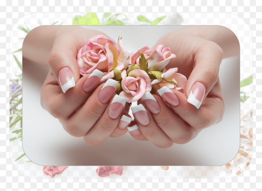 Sns Dipping Powder Poster, HD Png Download - manicure png
