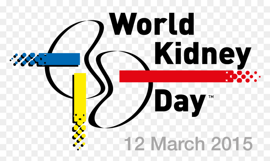 Fight Kidney Disease Day, HD Png Download - kidney png