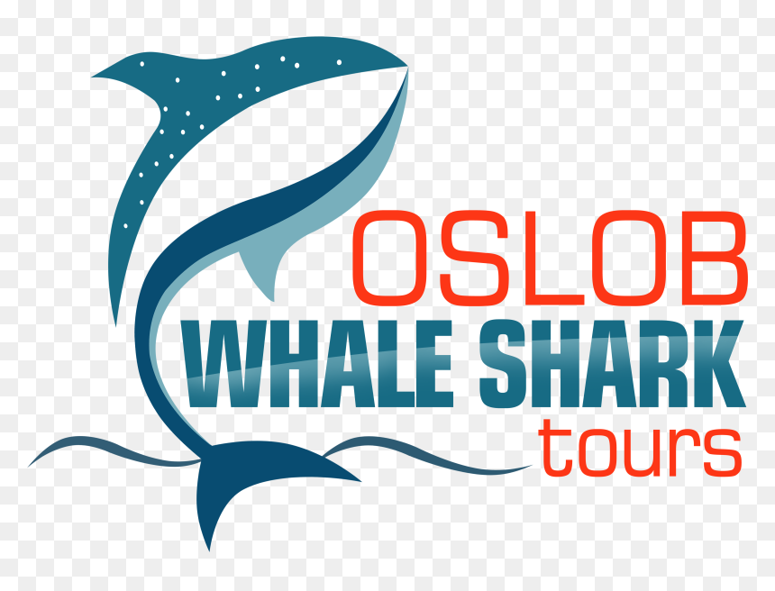 Transparent Whale Shark Png - Graphic Design, Png Download - whale shark png