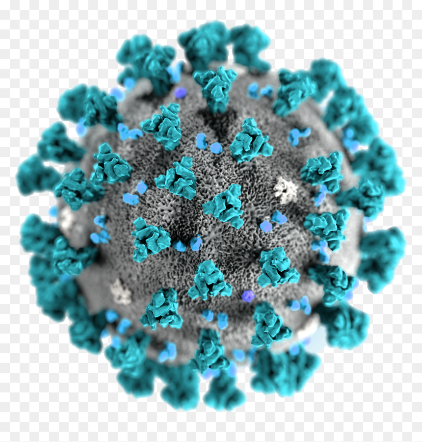 Coronavirus Disease Png Transparent Image - Coronavirus Picture Trasparent Png, Png Download - turquoise png