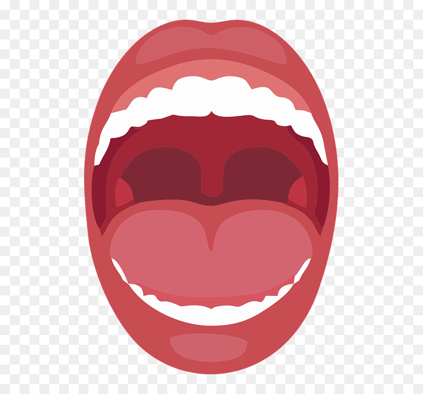 Clip Art, HD Png Download - tooth icon png