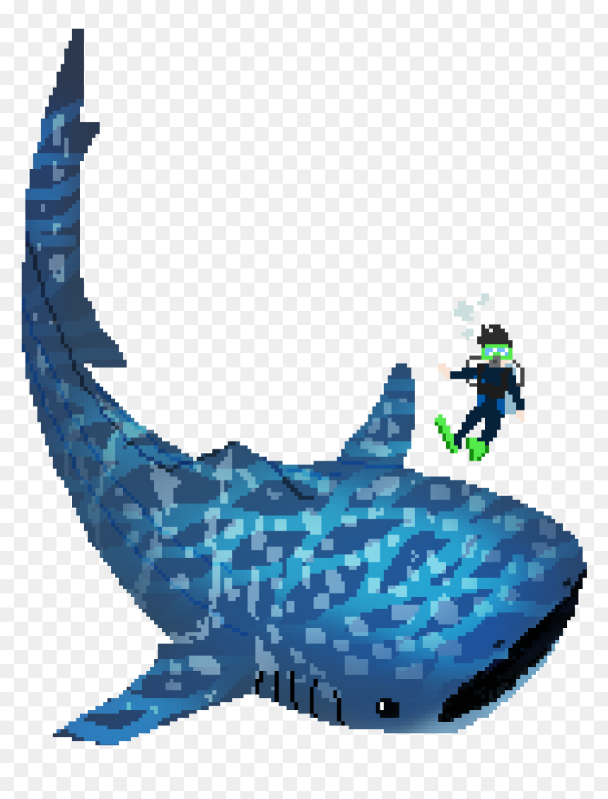 Cartoon, HD Png Download - whale shark png