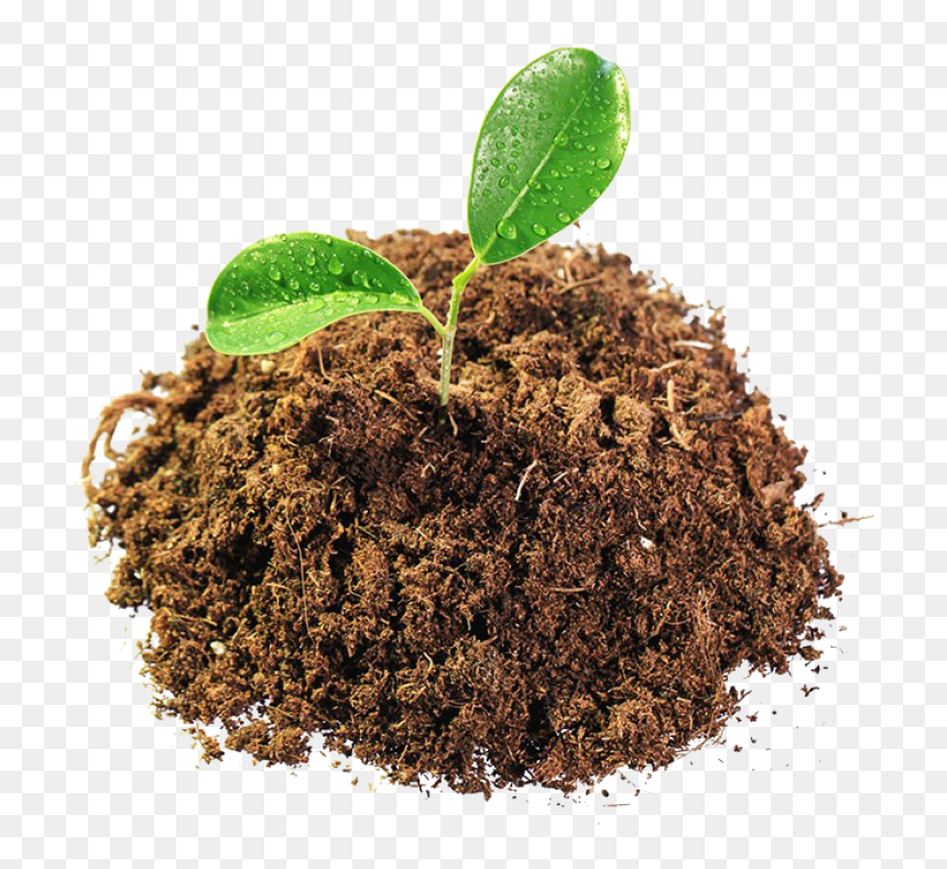 Leaves In Mud Png Image - Mud Png, Transparent Png - mulch png