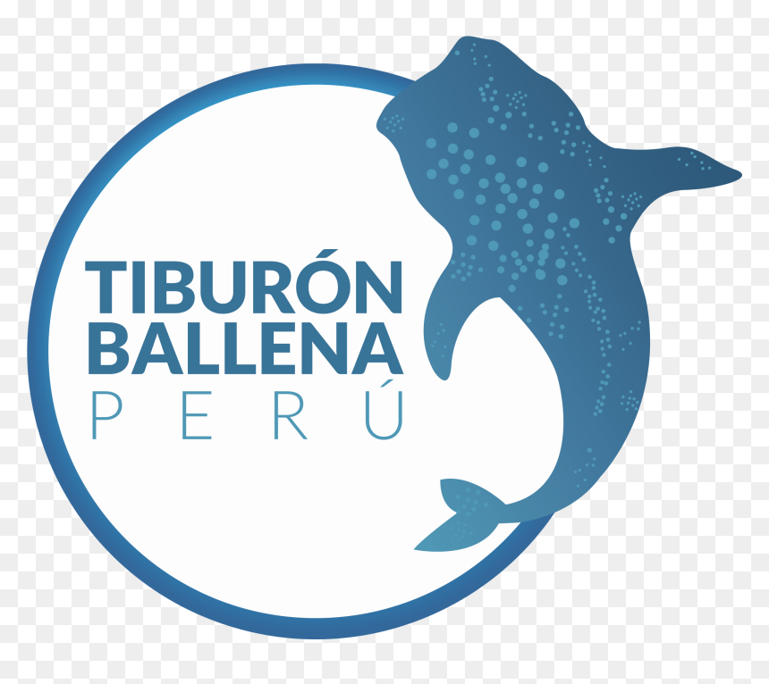 Whale Shark Graphic, HD Png Download - whale shark png