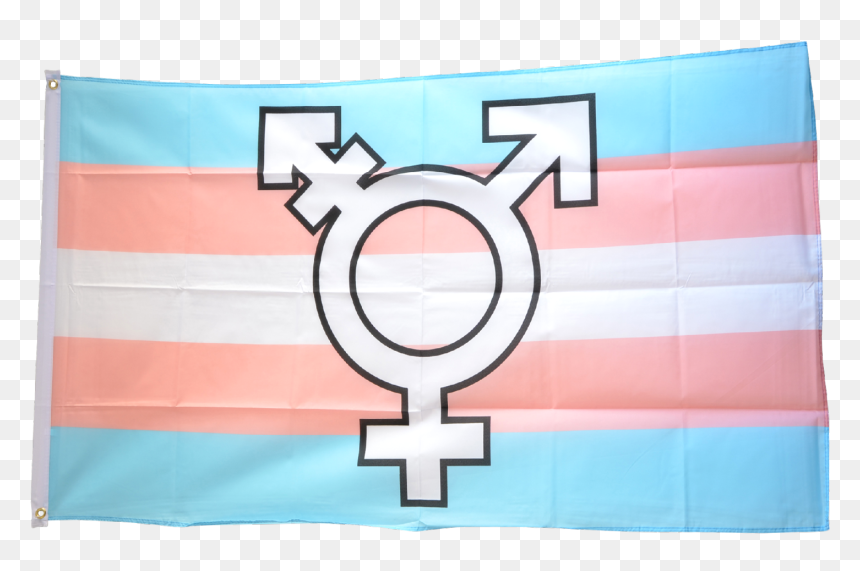 Transgender Pride Symbol Flag - Transgender Flag With Symbol, HD Png Download - transgender symbol png