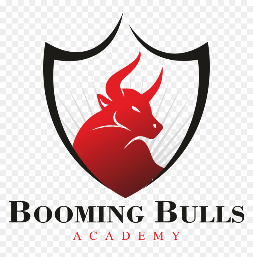 Booming Bulls Academy, HD Png Download - bulls png