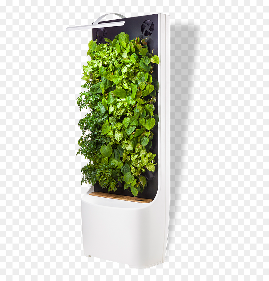 Flowerpot, HD Png Download - green wall png