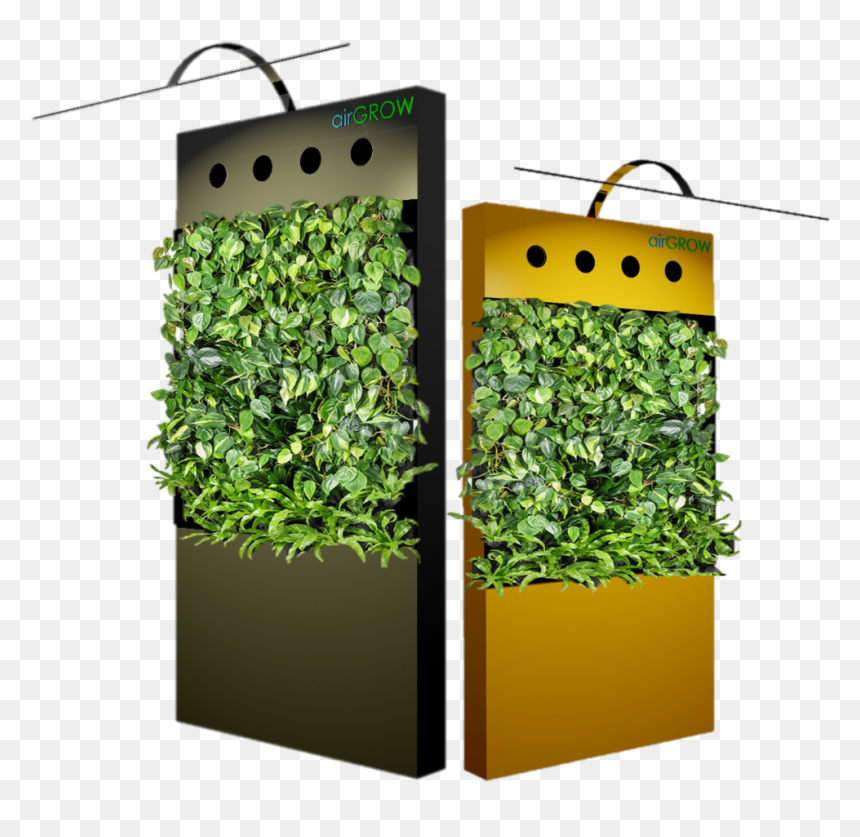 Transparent Green Wall Png, Png Download - green wall png