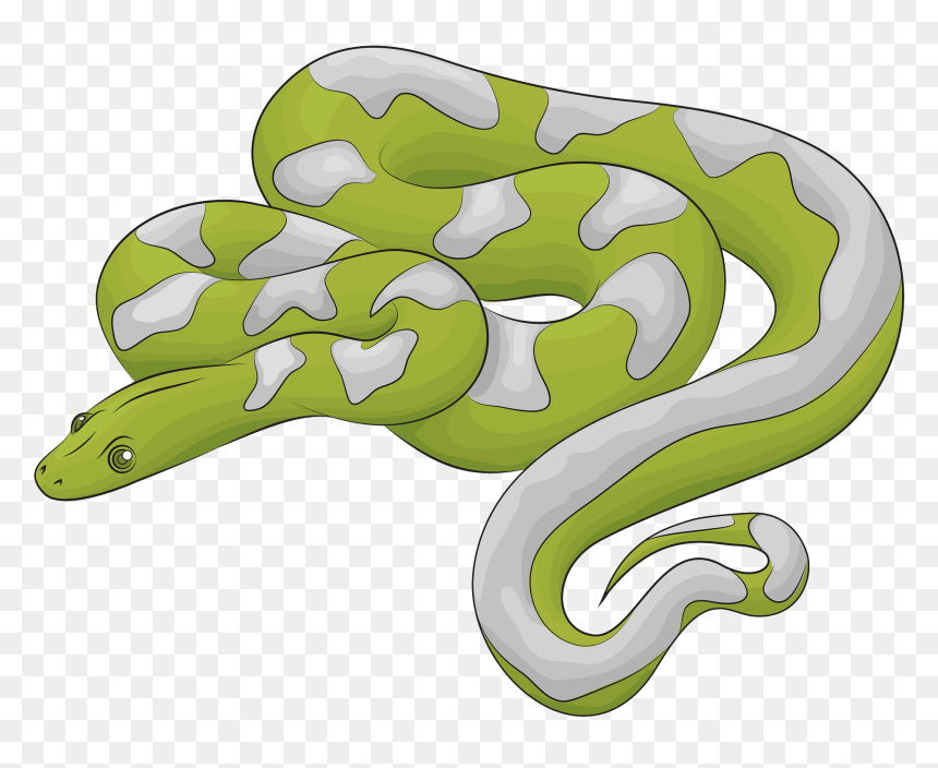 Snake Clipart, HD Png Download - boa png
