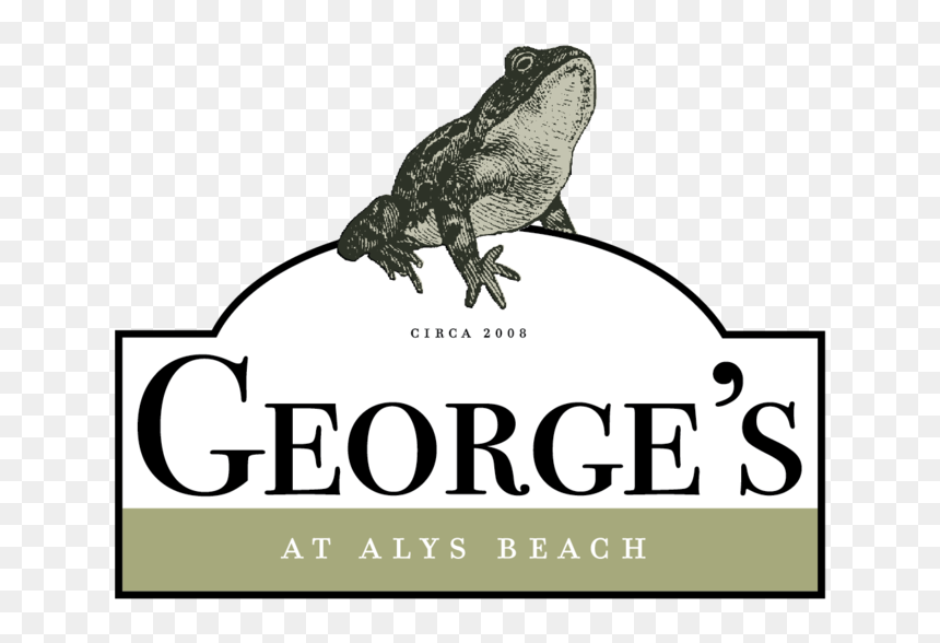 Georges - Illustration, HD Png Download - spell png