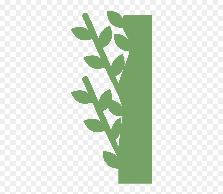 Moss Wall, Living Wall, Live Wall, Green Wall, Plant - Green Wall Cartoon Png, Transparent Png - green wall png