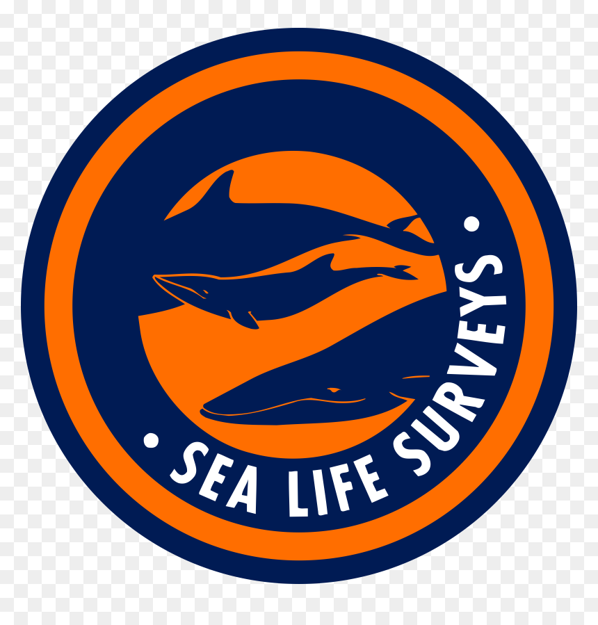 Sea Life Surveys Logo Png Transparent - Slipmat Denon 3500, Png Download - steven universe logo png