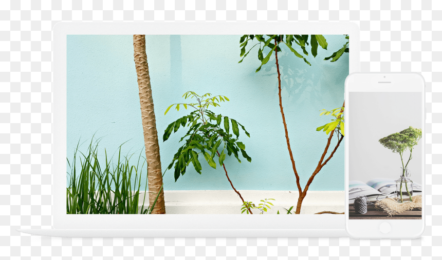 Tropical Jungle Color Palette, HD Png Download - cogwheel png