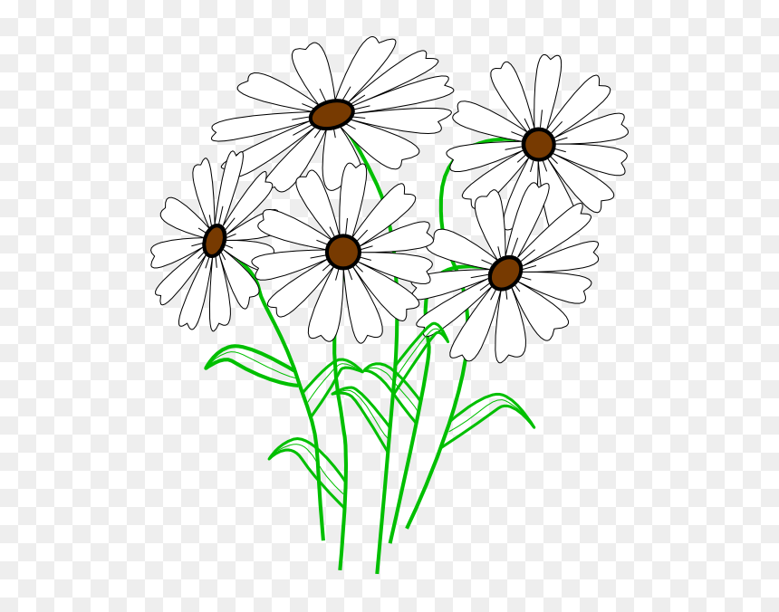 White Daisy Bunch Clip Art At Clker - Transparent Daisy Outline, HD Png Download - white daisy png