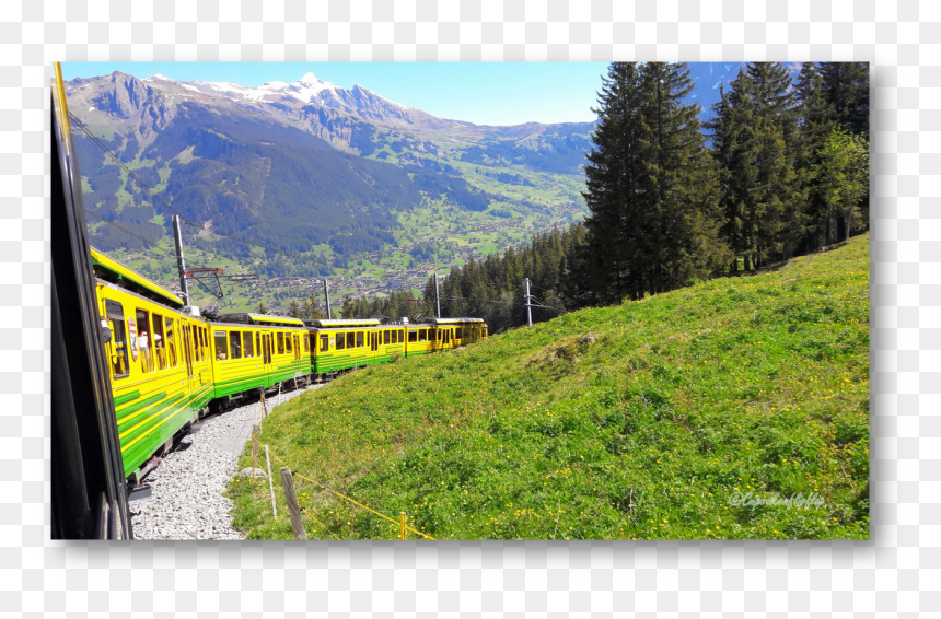 Picture18 - Summit, HD Png Download - cogwheel png