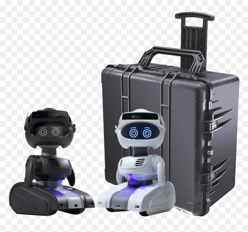 Nao Robot, HD Png Download - misty png