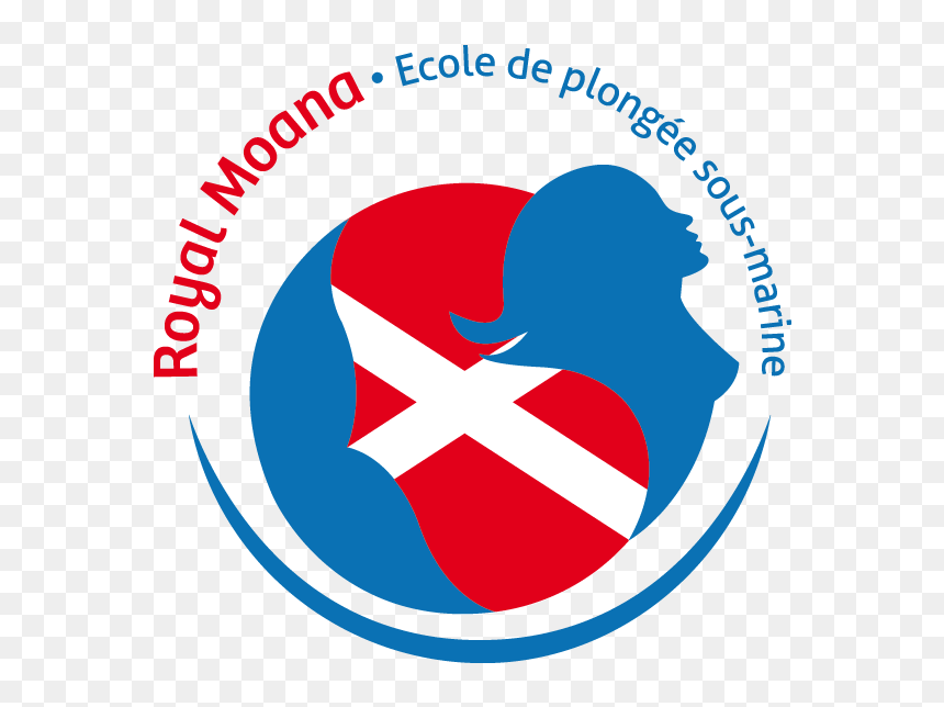 Moana , Png Download - Angel, Transparent Png - moana logo png