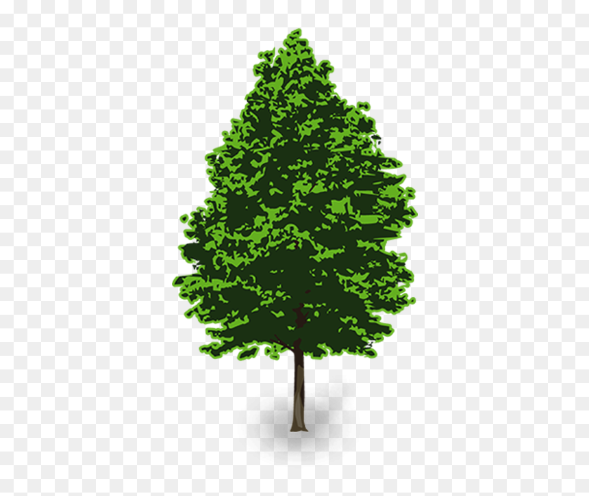 Pine Tree Png Clip Art, Picture - Vector Pine Tree Png, Transparent Png - pine tree clip art png