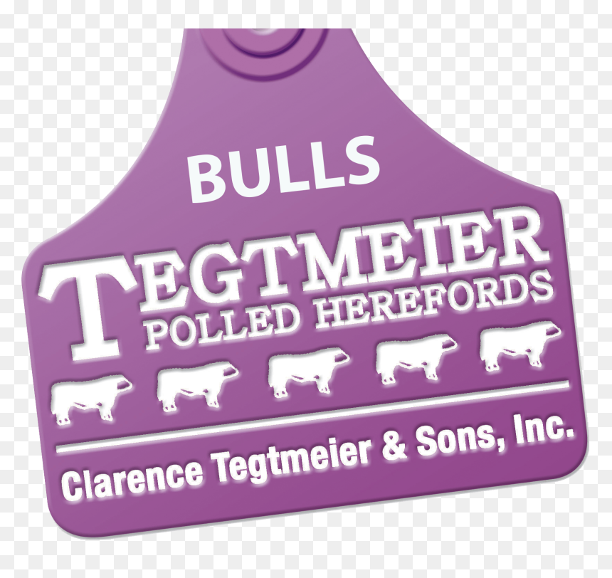 Active Tank, HD Png Download - bulls png