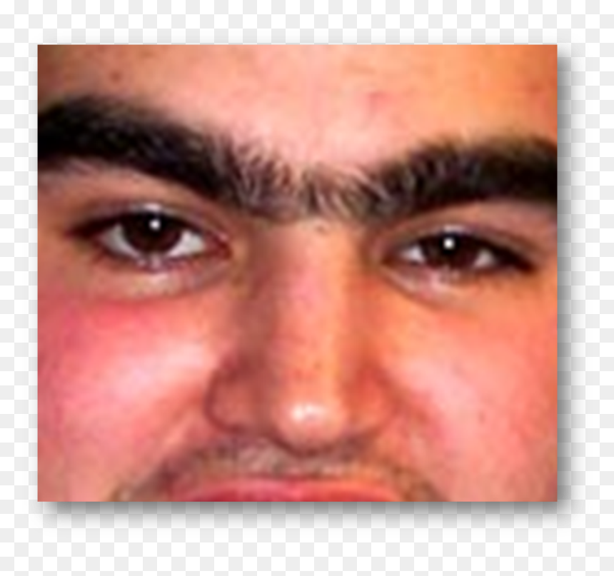 Comment Picture, HD Png Download - unibrow png