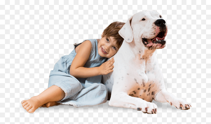 Crianças Pet Png, Transparent Png - target dog png