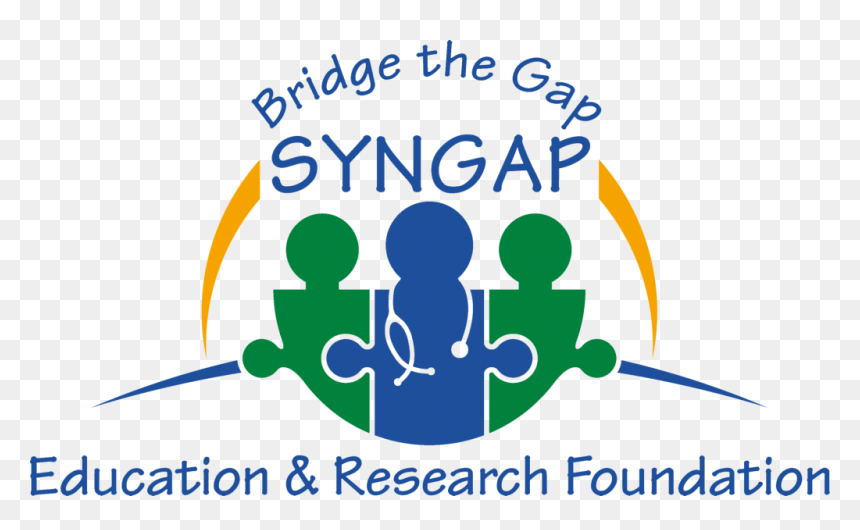 Bridge The Gap Syngap, HD Png Download - gap logo png